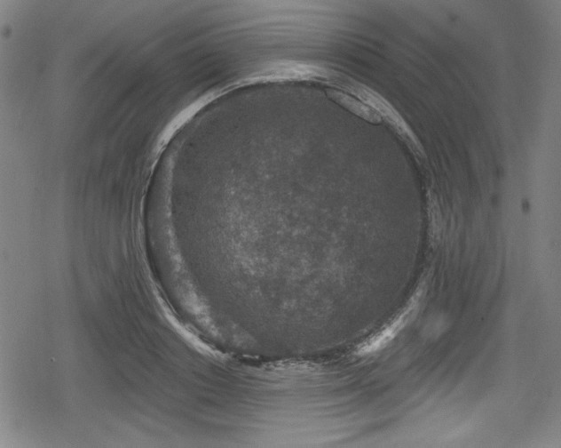 X0000078890842200611131228