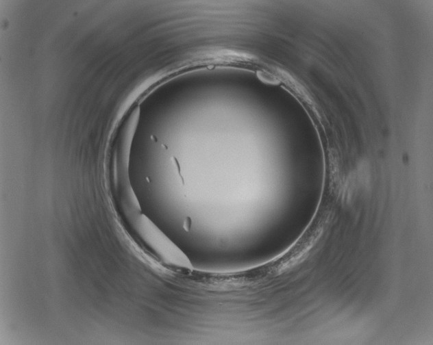 X0000078890843200611131228