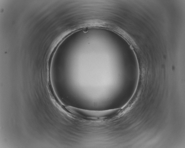 X0000078890844200611131228