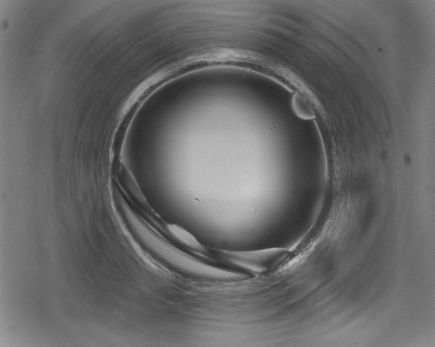 X0000078890845200611131228