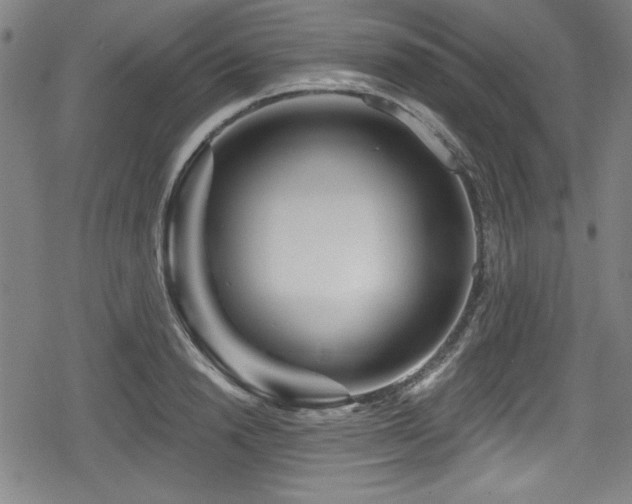 X0000078890846200611131228