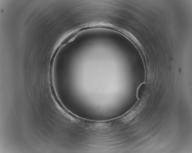 X0000078890847200611131228