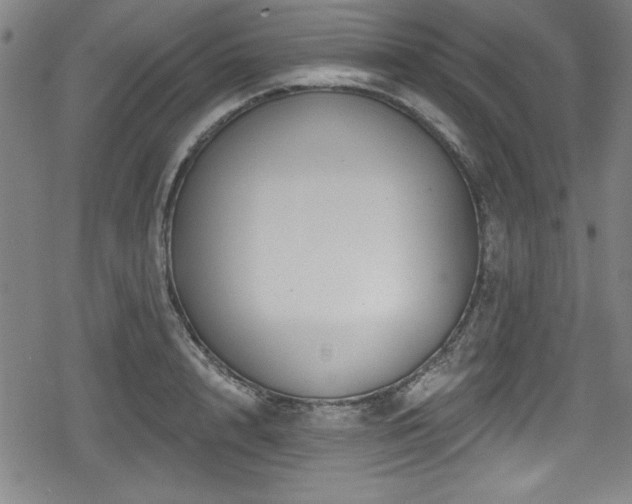 X0000078890848200611131228