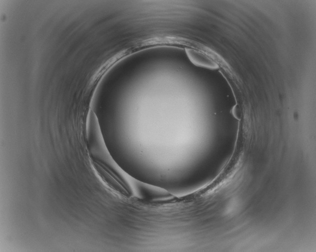 X0000078890849200611131228