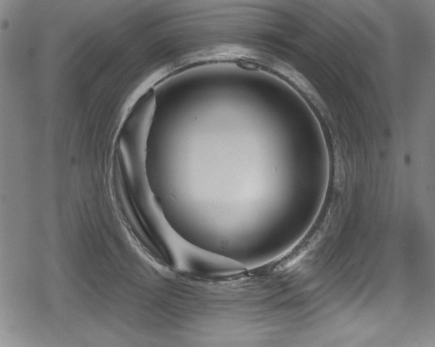 X0000078890850200611131228