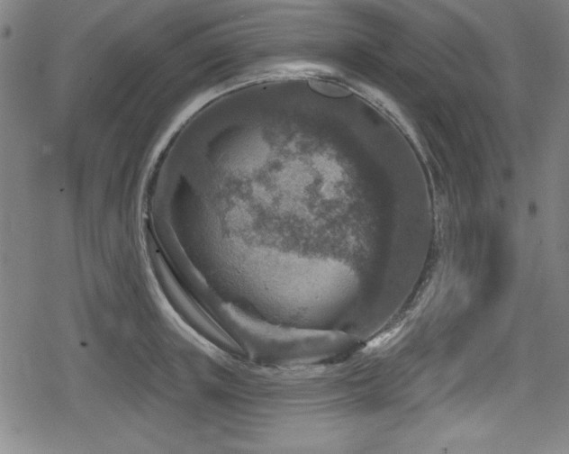 X0000078890851200611131228