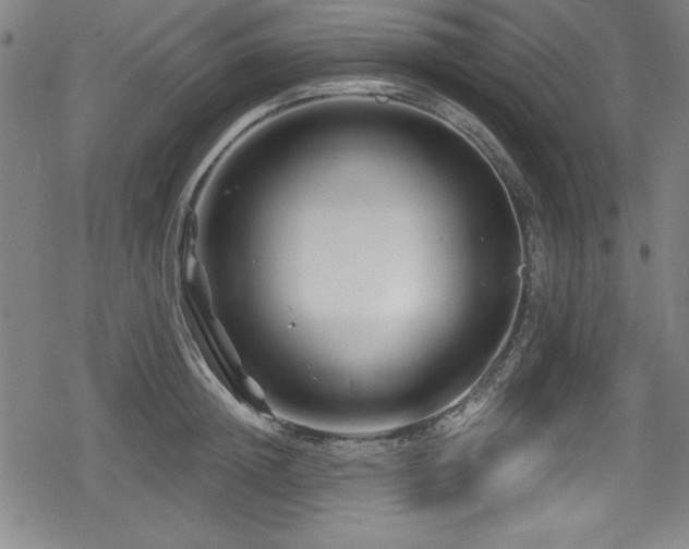 X0000078890852200611131228