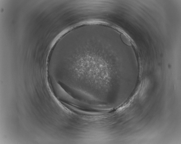 X0000078890853200611131228