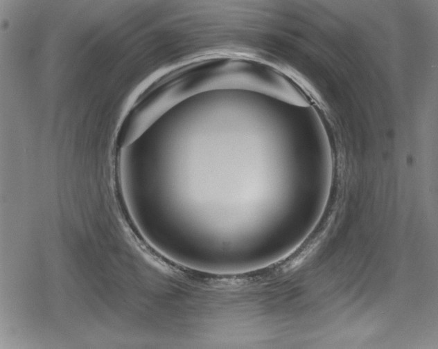 X0000078890854200611131228