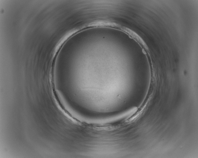 X0000078890855200611131228