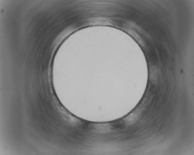 X0000078890856200611131228