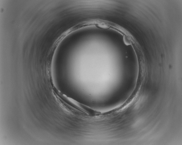 X0000078890857200611131228