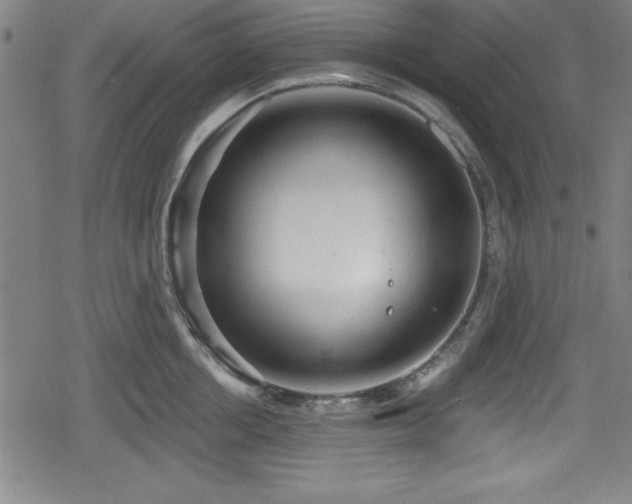 X0000078890858200611131228