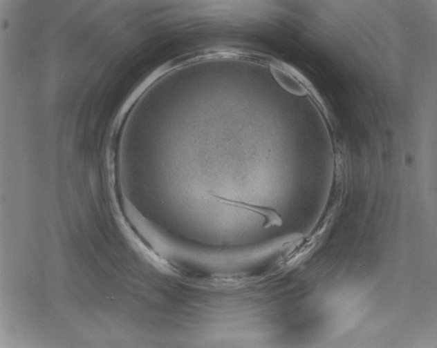 X0000078890859200611131228