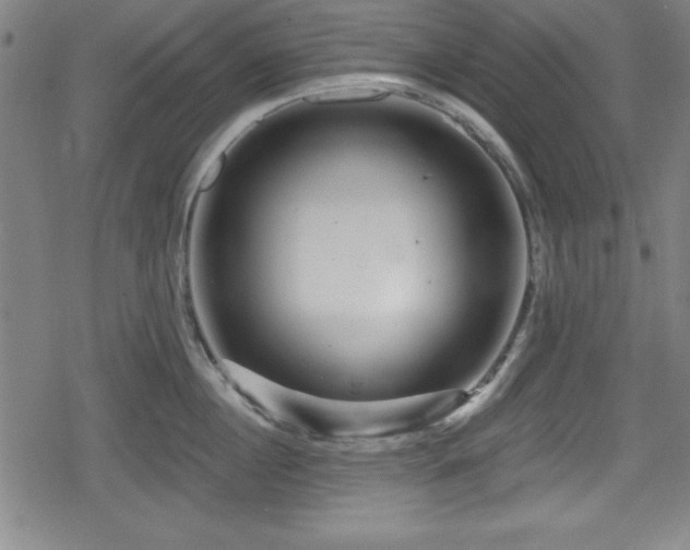 X0000078890860200611131228