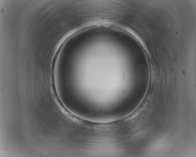 X0000078890861200611131228