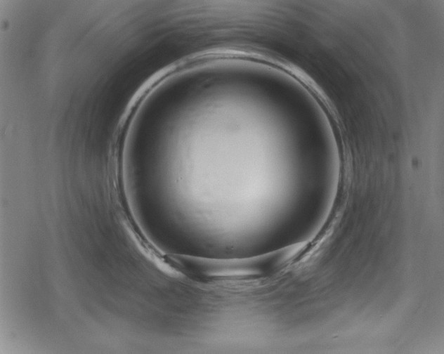 X0000078890862200611131228