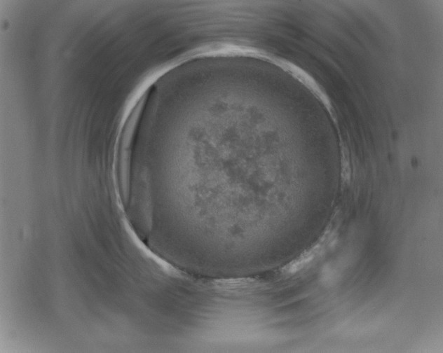 X0000078890863200611131228