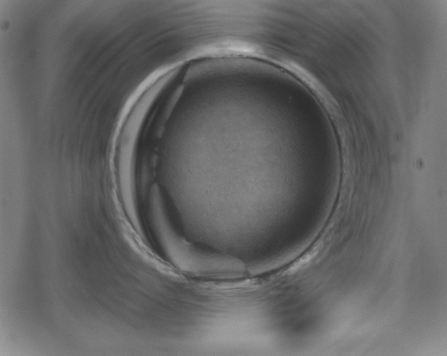 X0000078890864200611131228