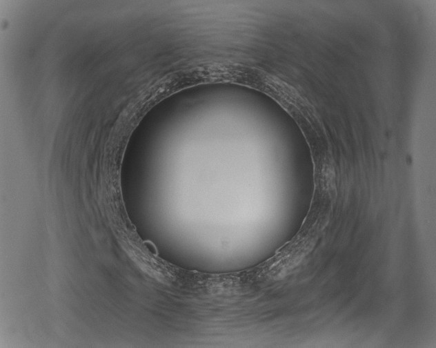 X0000078890865200611131227