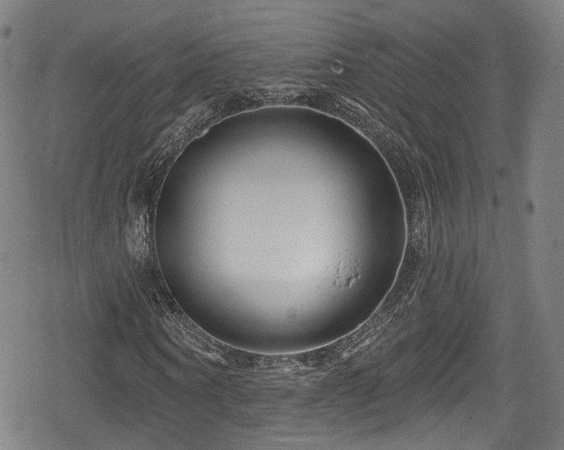 X0000078890866200611131227