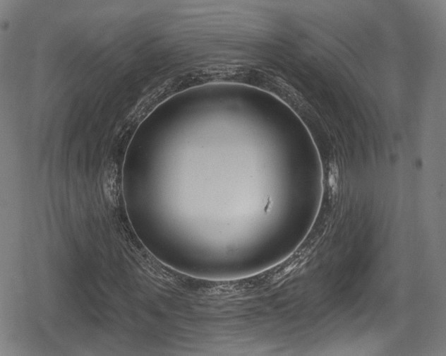 X0000078890867200611131227