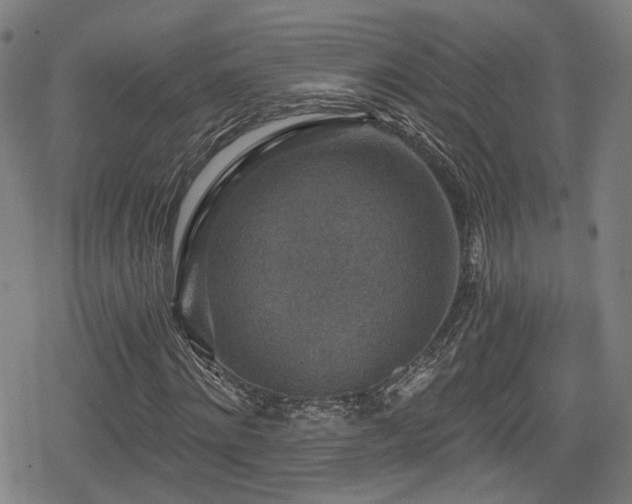 X0000078890868200611131227