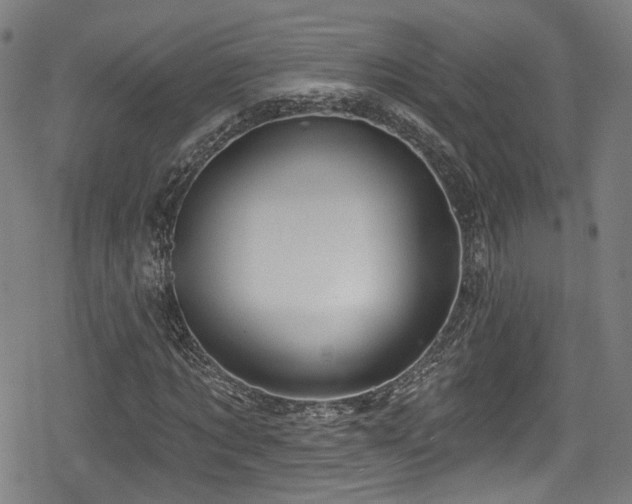 X0000078890869200611131227