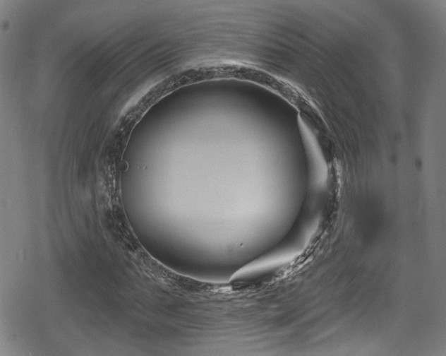 X0000078890871200611131227