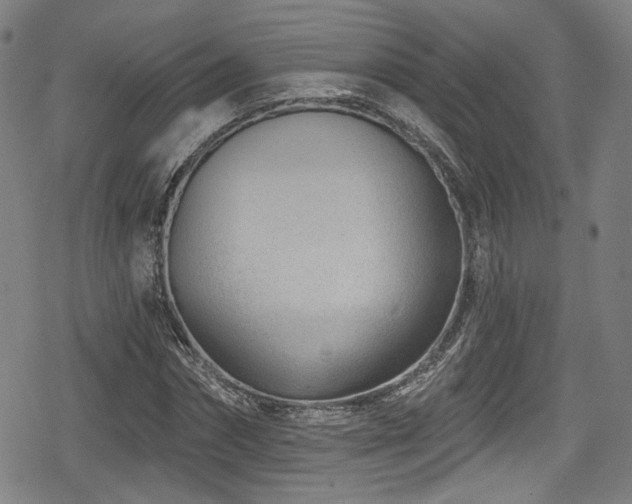 X0000078890874200611131227