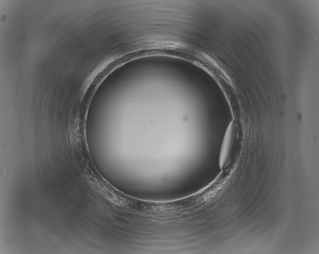 X0000078890875200611131227