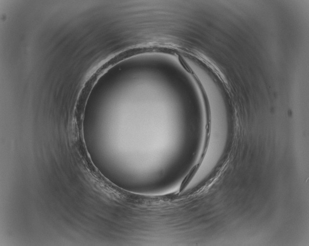 X0000078890876200611131227