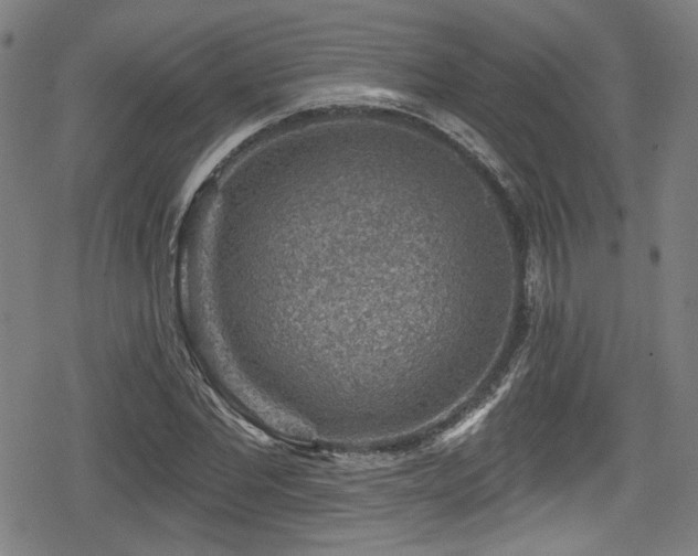 X0000078890877200611131227