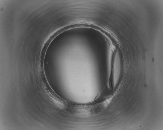 X0000078890880200611131227