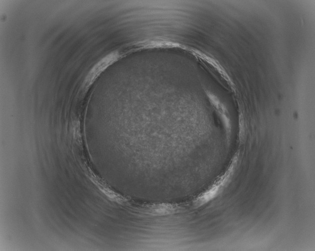 X0000078890881200611131227