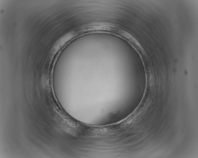 X0000078890882200611131227