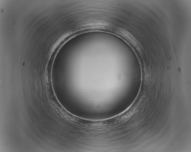 X0000078890883200611131227