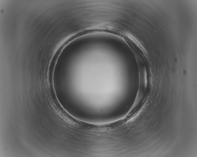 X0000078890884200611131227