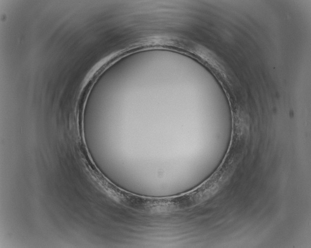 X0000078890886200611131227