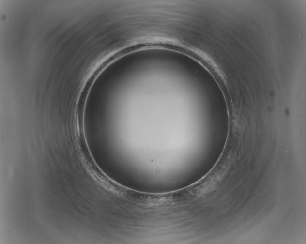 X0000078890887200611131227