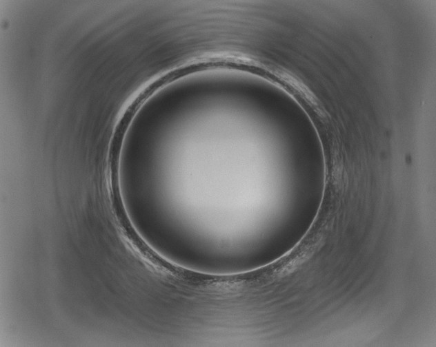 X0000078890888200611131227