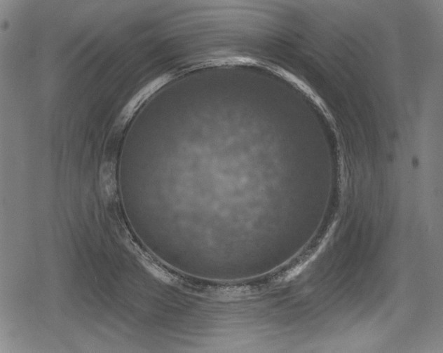 X0000078890889200611131227