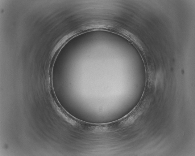 X0000078890890200611131227