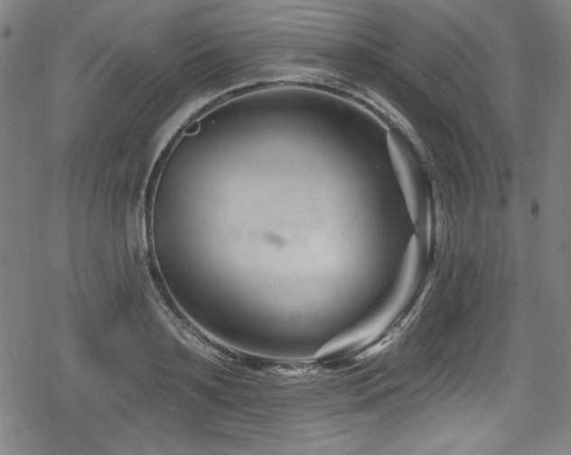 X0000078890891200611131227