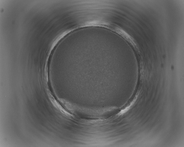 X0000078890892200611131227