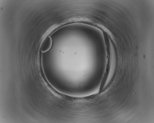 X0000078890894200611131227