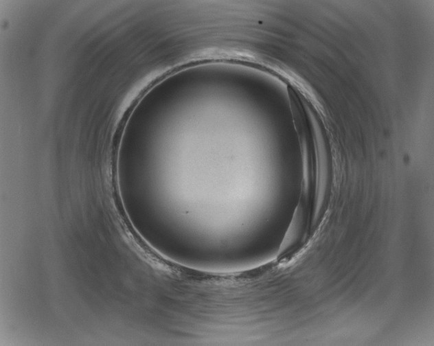 X0000078890896200611131227