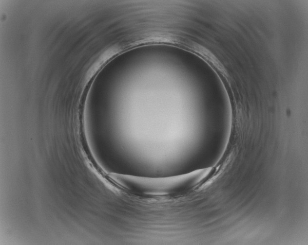 X0000078890898200611131227