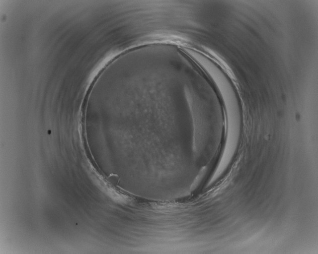 X0000078890899200611131227