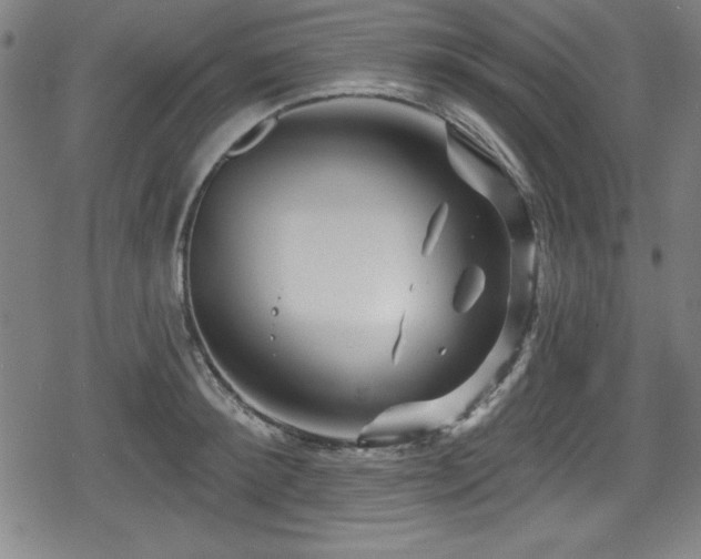 X0000078890900200611131227